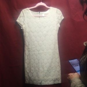 Women's dress cream color with lace exhilaration small petite